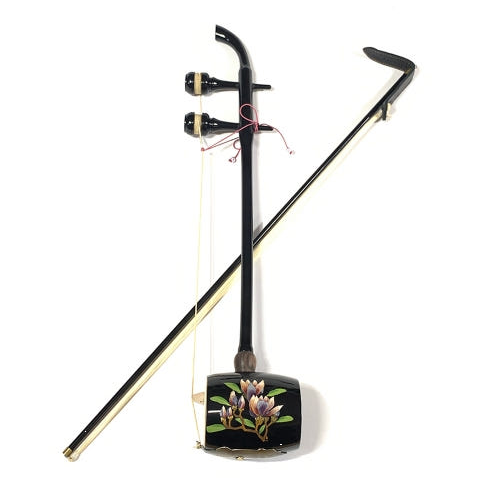 Korean Traditional String Instrument Haegeum with Case, 1 Set