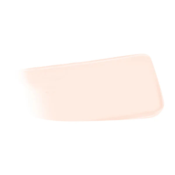 [6 SHADES/SINGLE] JUNGSAEMMOOL Pro-Lasting Mesh Cushion 14 g (Ultra-Thin, Long-Lasting Mesh Coverage)