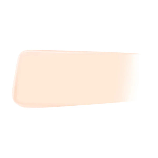 [6 SHADES/SINGLE] JUNGSAEMMOOL Pro-Lasting Mesh Cushion 14 g (Ultra-Thin, Long-Lasting Mesh Coverage)