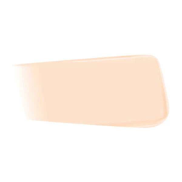[6 SHADES/SINGLE] JUNGSAEMMOOL Pro-Lasting Mesh Cushion 14 g (Ultra-Thin, Long-Lasting Mesh Coverage)