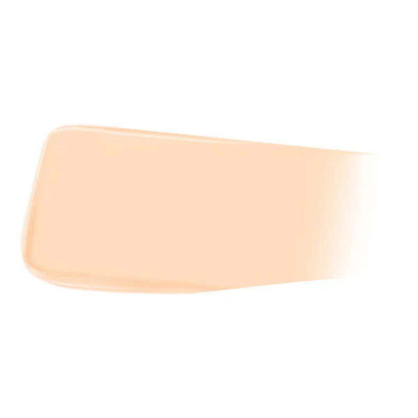 [6 SHADES/SINGLE] JUNGSAEMMOOL Pro-Lasting Mesh Cushion 14 g (Ultra-Thin, Long-Lasting Mesh Coverage)