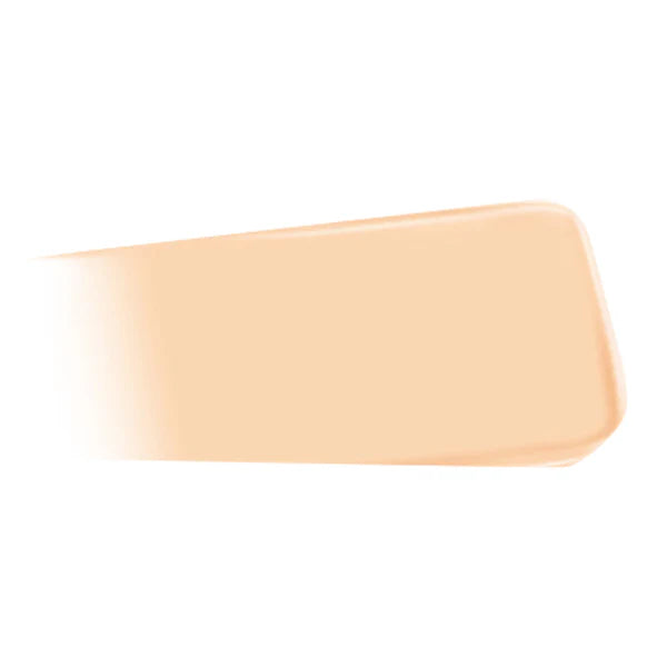[6 SHADES/SINGLE] JUNGSAEMMOOL Pro-Lasting Mesh Cushion 14 g (Ultra-Thin, Long-Lasting Mesh Coverage)
