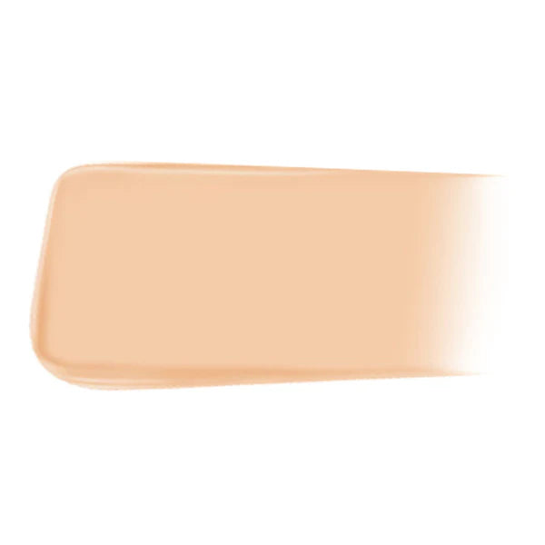 [6 SHADES/SINGLE] JUNGSAEMMOOL Pro-Lasting Mesh Cushion 14 g (Ultra-Thin, Long-Lasting Mesh Coverage)