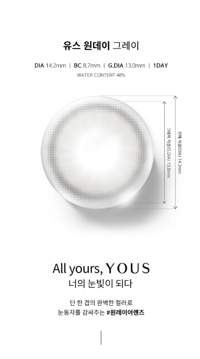 LensMe Use 1-Day Gray Contact Lenses (10 Pack, 13.0mm Graphic DIA, Daily Disposable)