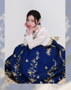 Golden Blossom Embroidery Hanbok – Royal Red & Blue Collection