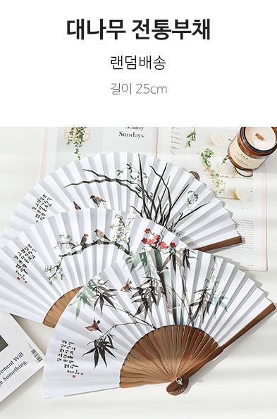 Traditional Bamboo Hand Fan (Random Design)