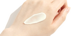Round Lab Birch Moisture Sunscreen 50ml (SPF 50+, PA+++)