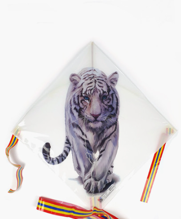 Traditional Kite / Eagle Kite / Tiger Kite 1 Set
