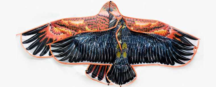 Traditional Kite / Eagle Kite / Tiger Kite 1 Set
